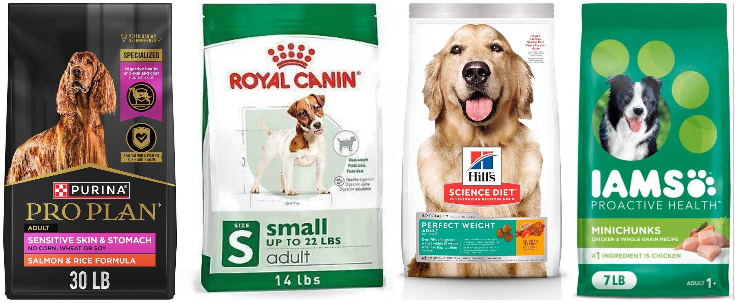 Top-Vet-Recommended-Dog-Food-Brands-in-2025